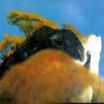 thumb_198 (Medium).jpg